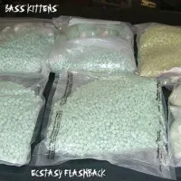 Bass Kittens, Ecstasy Flashback cover
