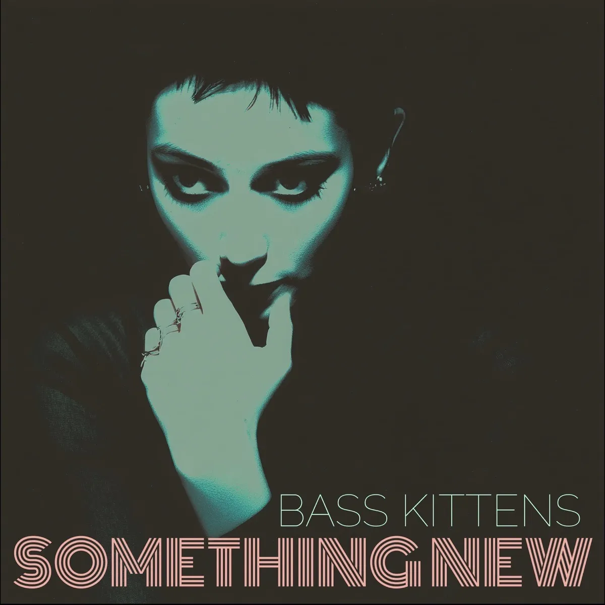 Bass Kittens, Something New cover