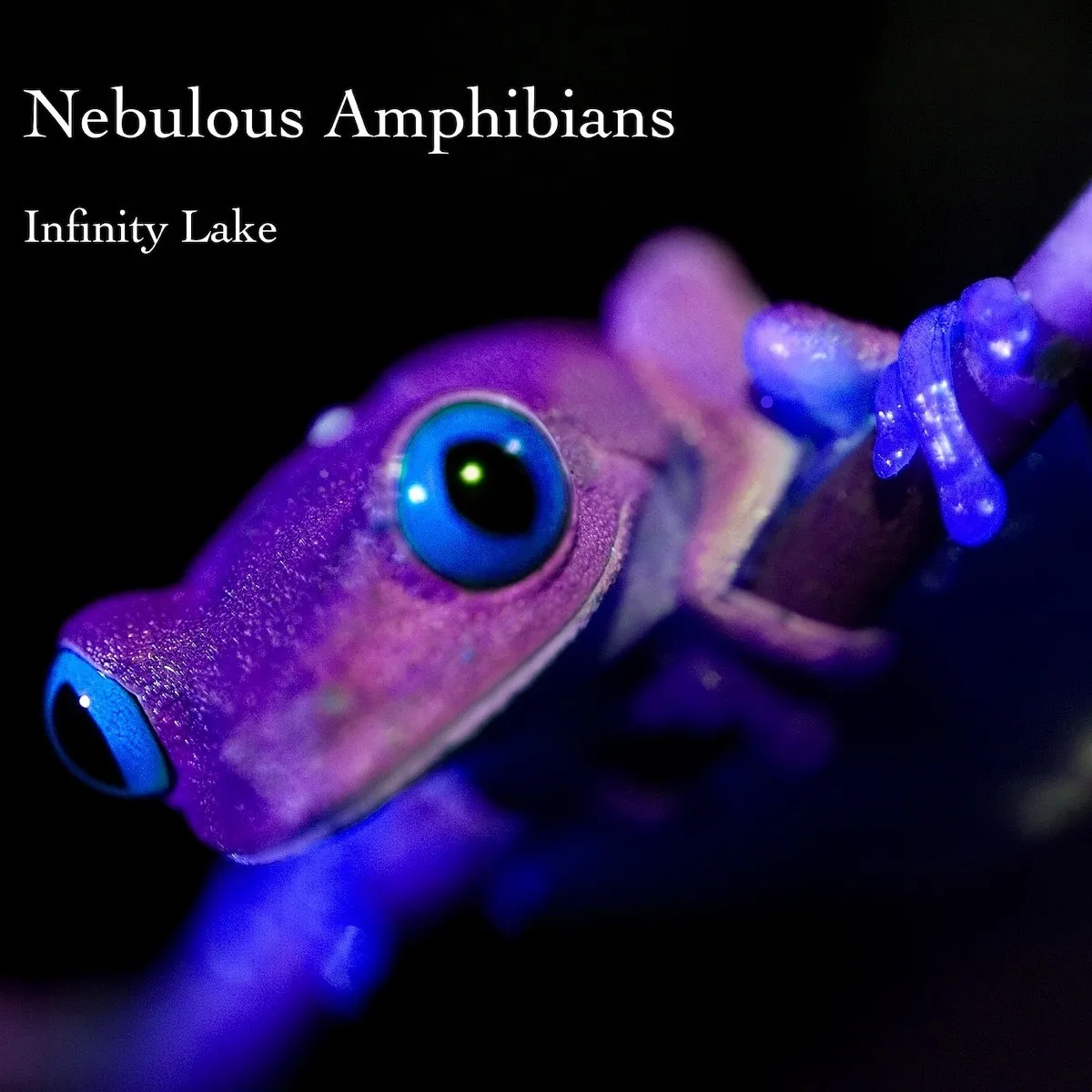Nebulous Amphibians, Infinity Lake cover